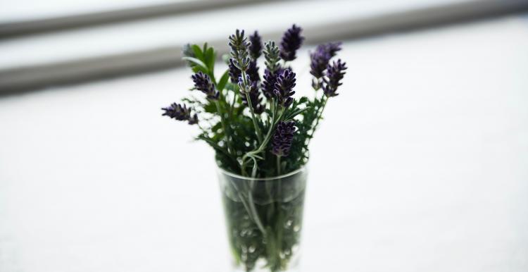 Lavender in a glass