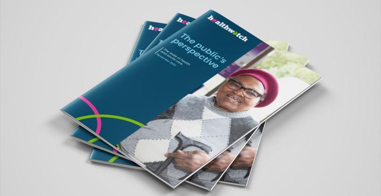 The public's perspective report