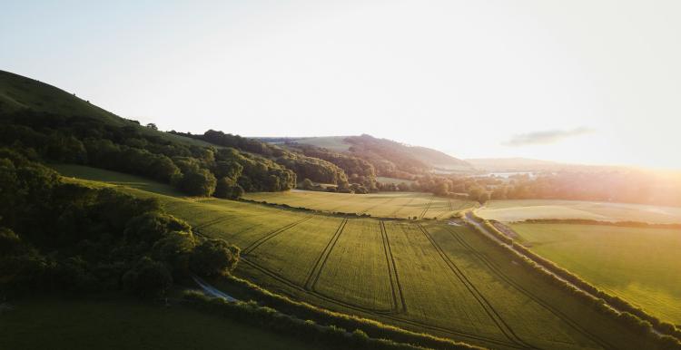 South Downs National Park 