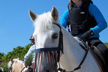4Sight image of girl on horse
