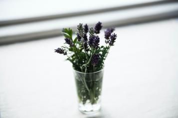Lavender in a glass