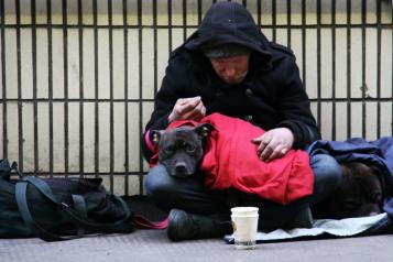Homeless man with dog