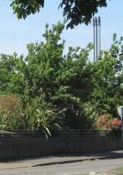 Bognor_Regis_War_Memorial_Hospital