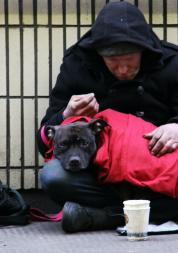 Homeless man with dog